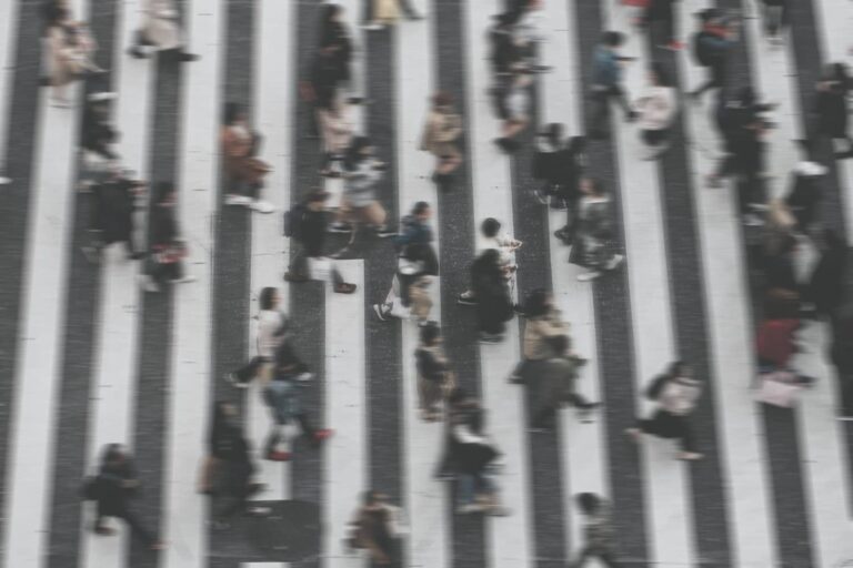 Comemoração e Reflexão no Dia Internacional do Pedestre