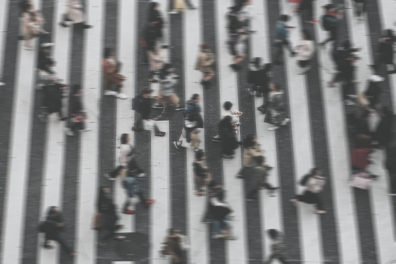 Comemoração e Reflexão no Dia Internacional do Pedestre