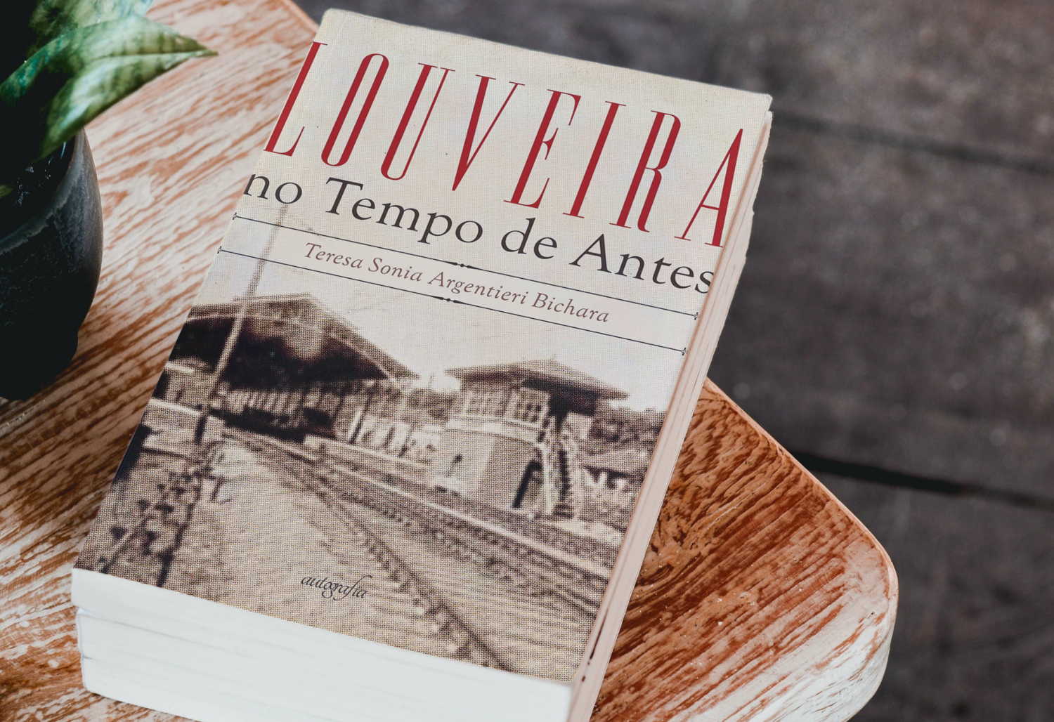 Livro 'Louveira No Tempo de Antes' - Sônia Argentieri Bichara